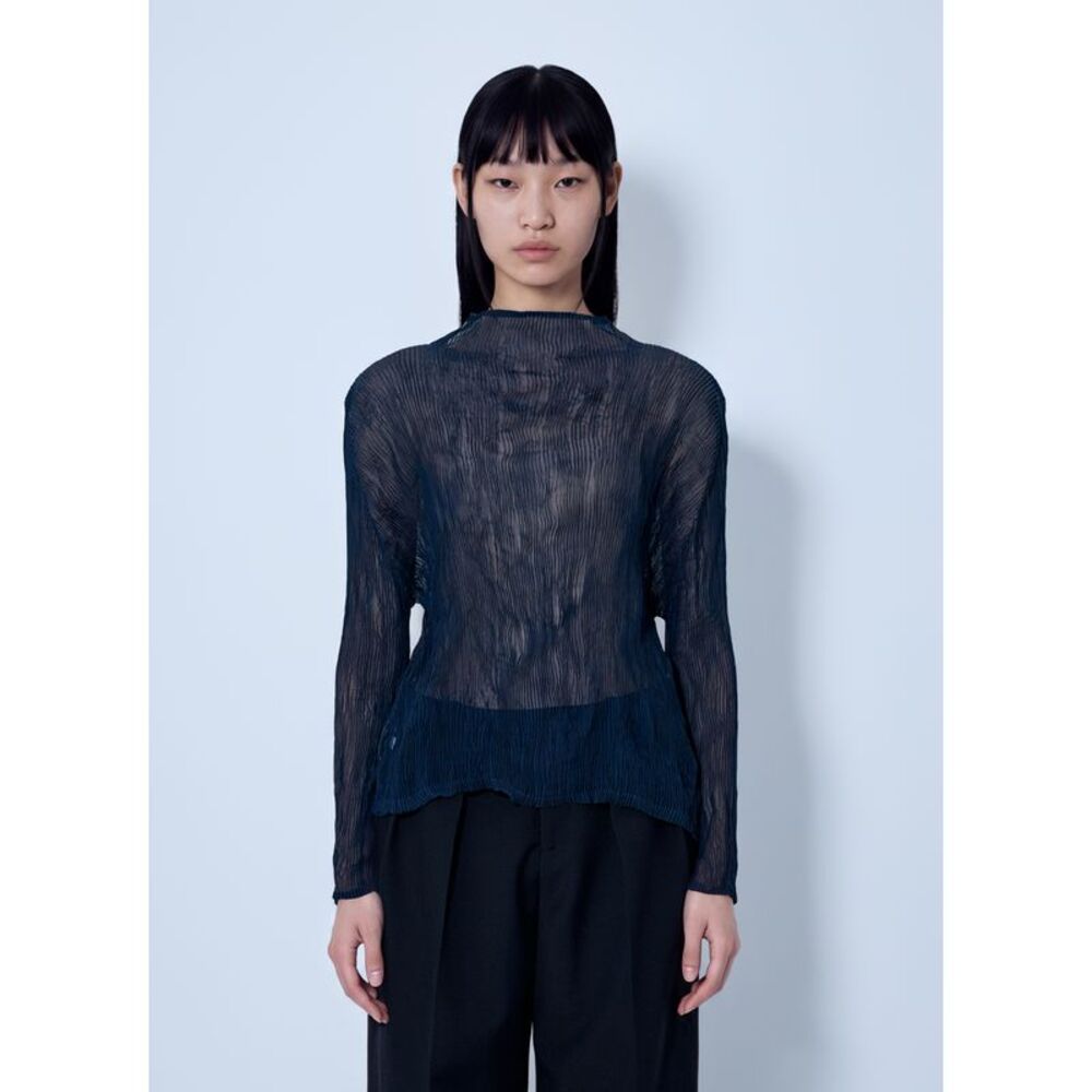 Issey Miyake Women Sheer Long Sleeve Top